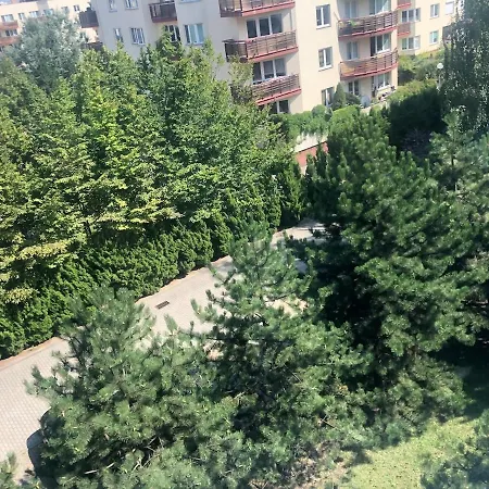 New 2floor Security Park Mall Airport Apartment *